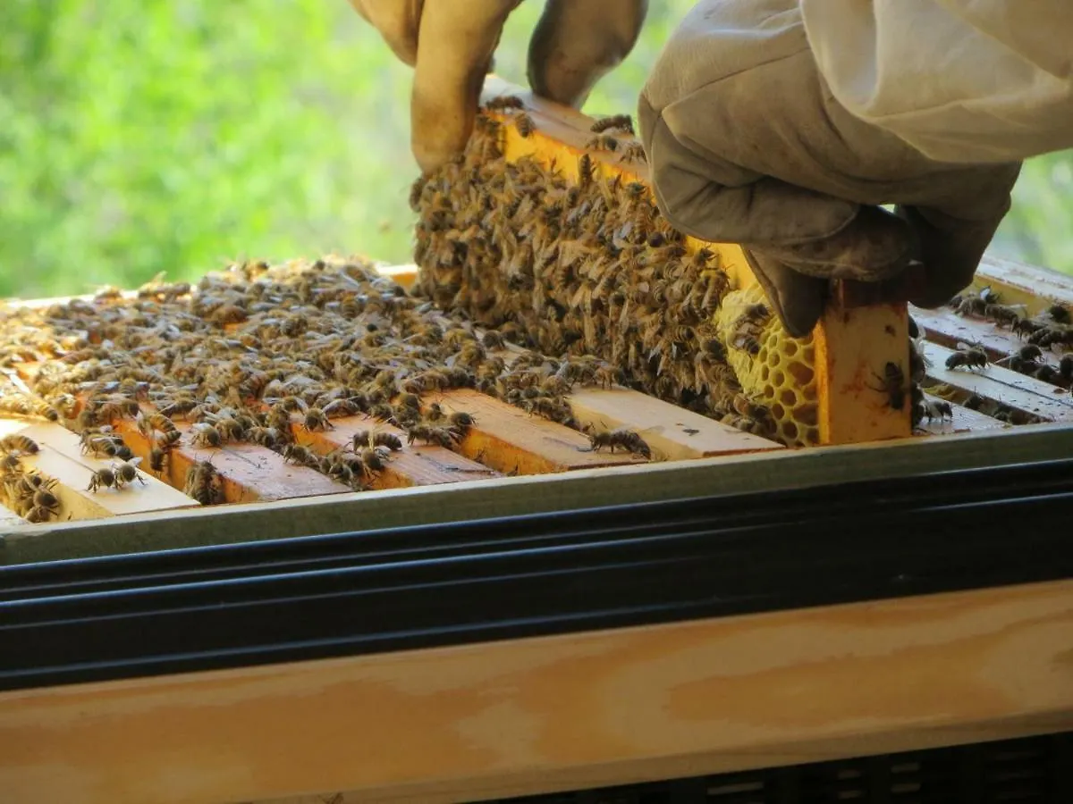 Beewell Honey Villa Marostica 0*,